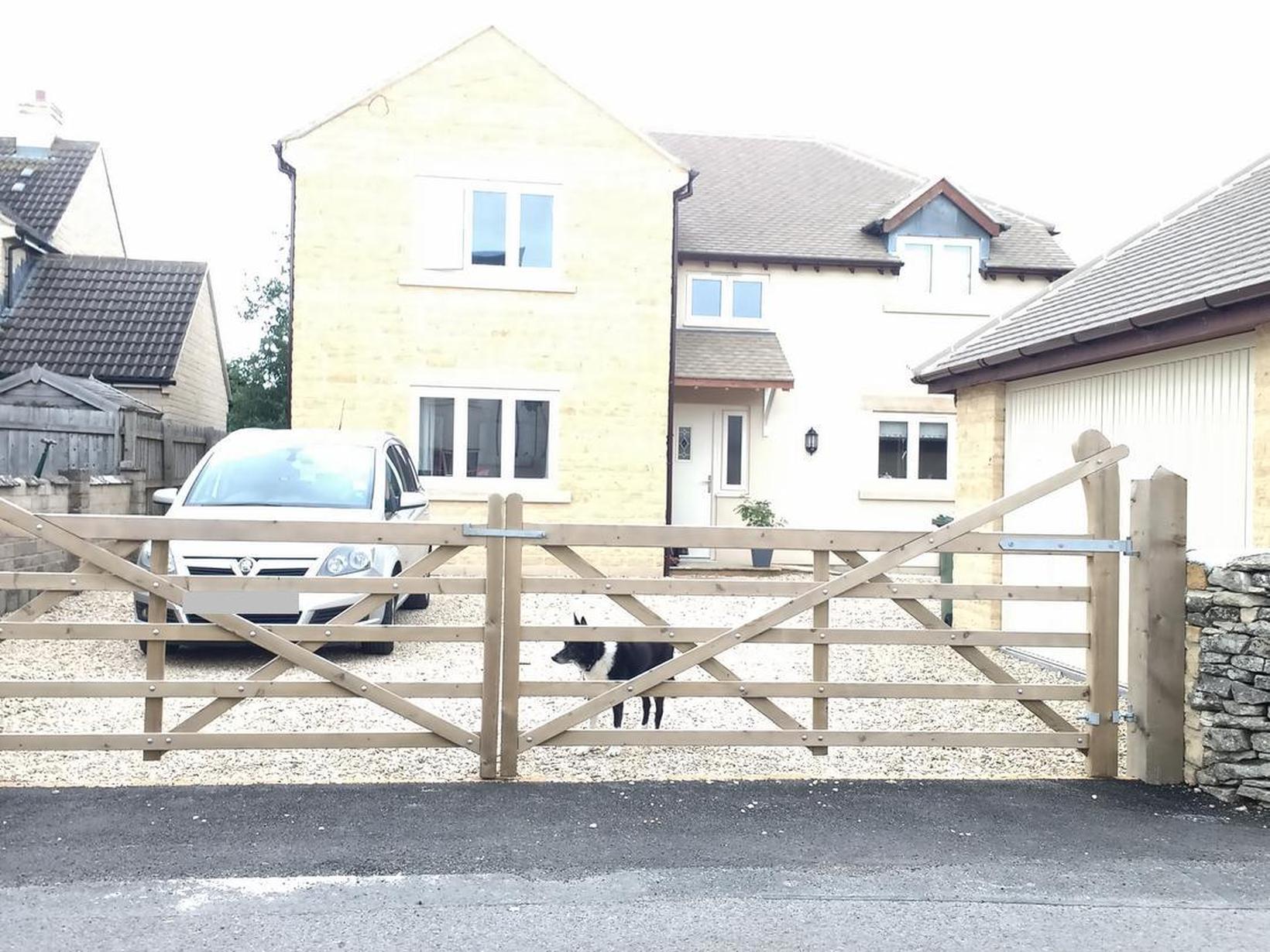 Housesitting assignment in Minchinhampton, United Kingdom