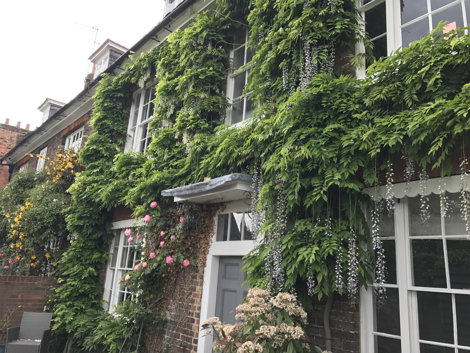 Housesitting assignment in Hertford, United Kingdom