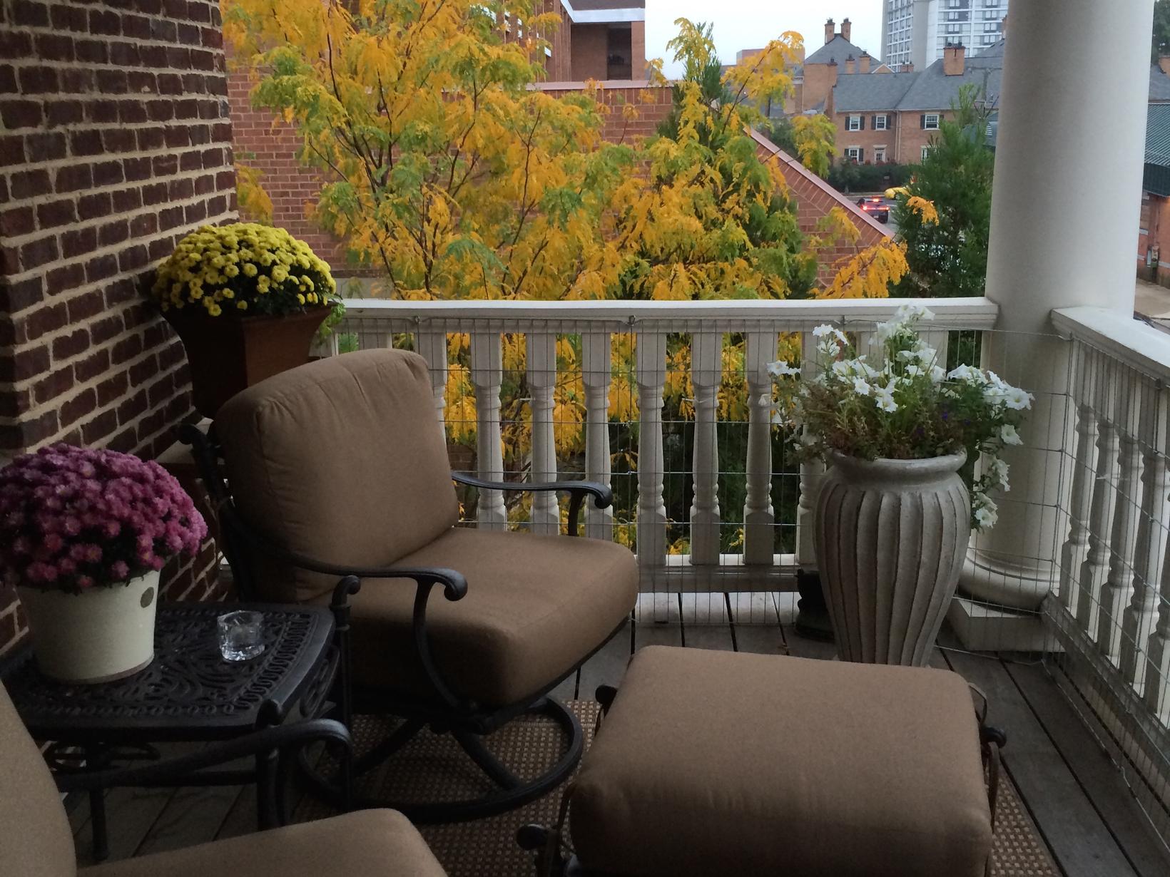 Housesitting assignment in Alexandria, Virginia, United States