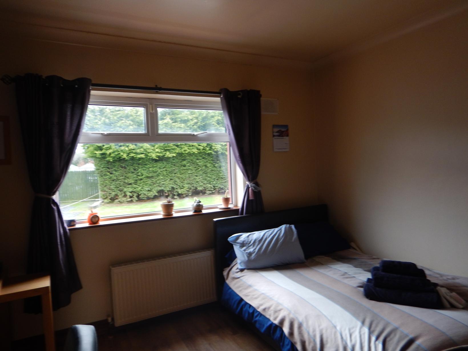 Housesitting assignment in Carbury, Ireland