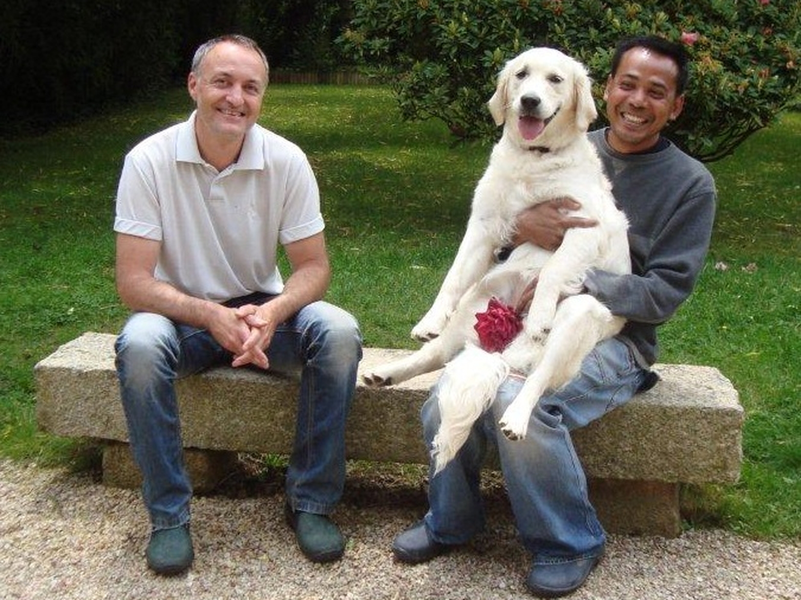 Werner & Nai from Médréac, France