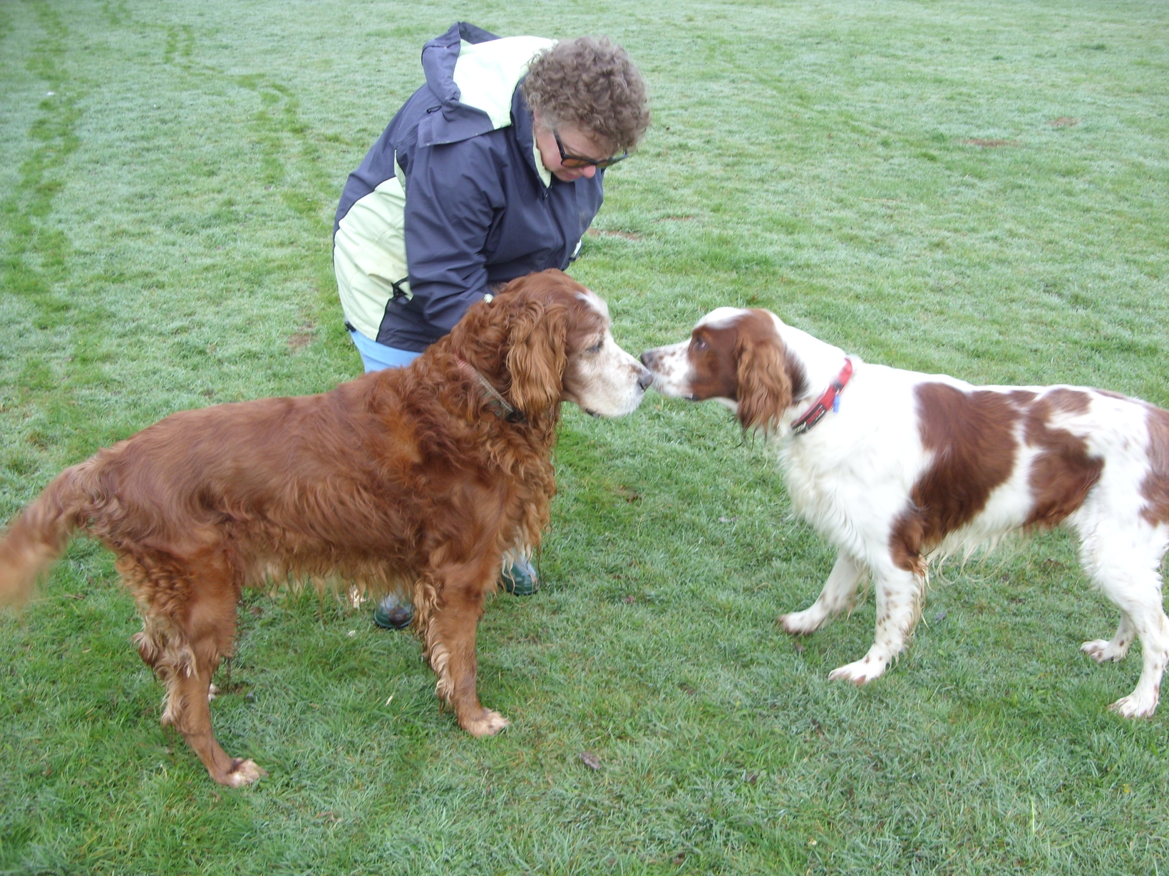 Diane from Ashford, United Kingdom