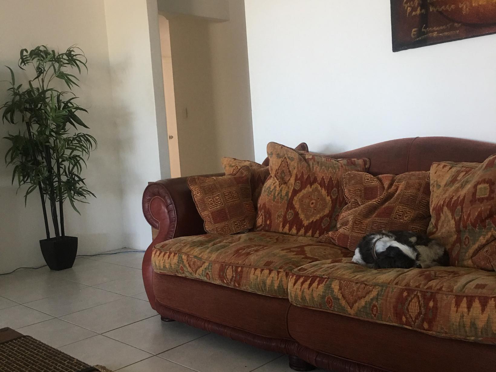 Housesitting assignment in Perth, Western Australia, Australia