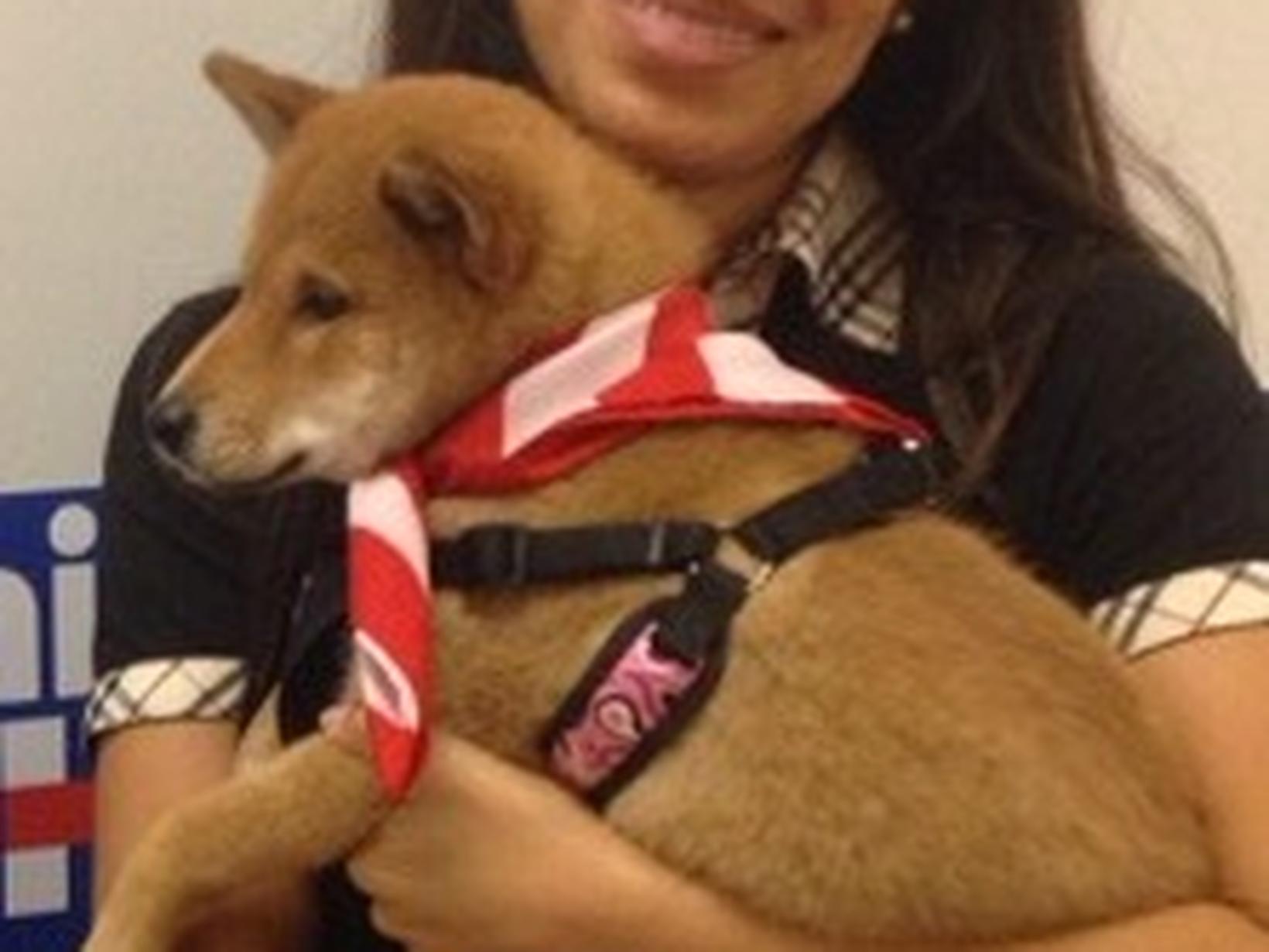 Gina from Saint Petersburg, Florida, United States