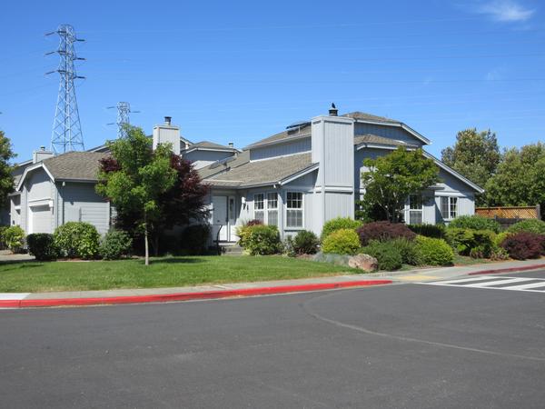 Housesitting assignment in San Rafael, California, United States