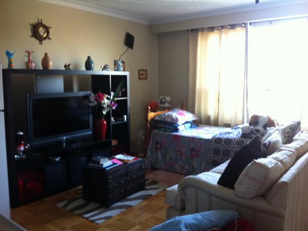 Housesitting assignment in Toronto, Ontario, Canada