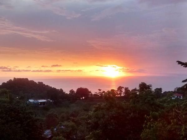 Housesitting assignment in Manuel Antonio, Costa Rica