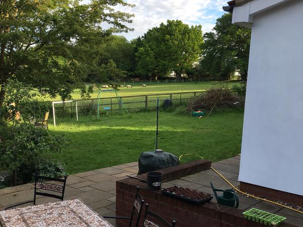 Housesitting assignment in Westmill, United Kingdom