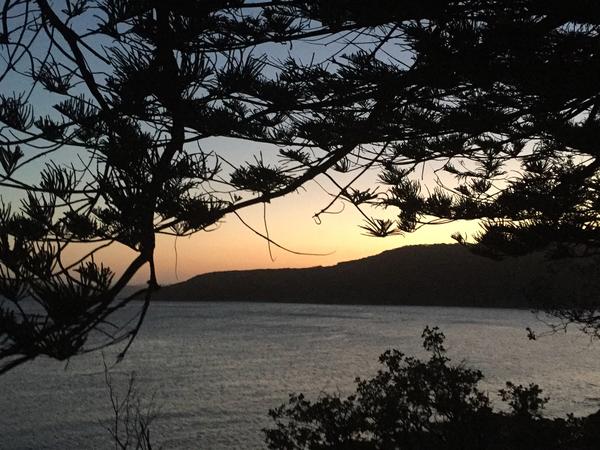 Housesitting assignment in Fairlight, New South Wales, Australia