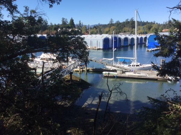 Housesitting assignment in North Saanich, British Columbia, Canada