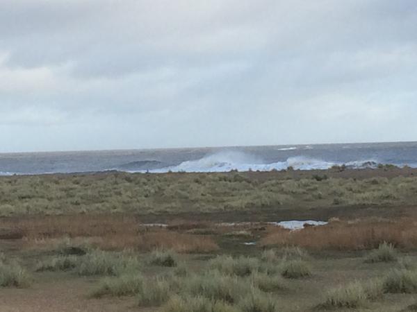 Housesitting assignment in Kessingland, United Kingdom