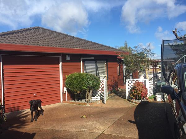 Housesitting assignment in Auckland, New Zealand