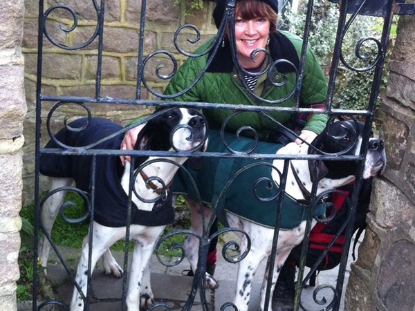 Housesitting assignment in Wirksworth, United Kingdom