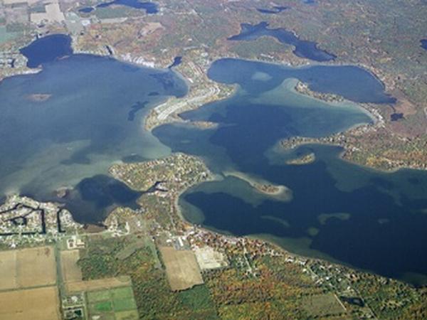Housesitting assignment in Grand Rapids, Michigan, United States
