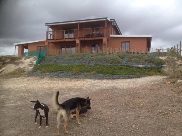 Housesitting assignment in Caledon, South Africa