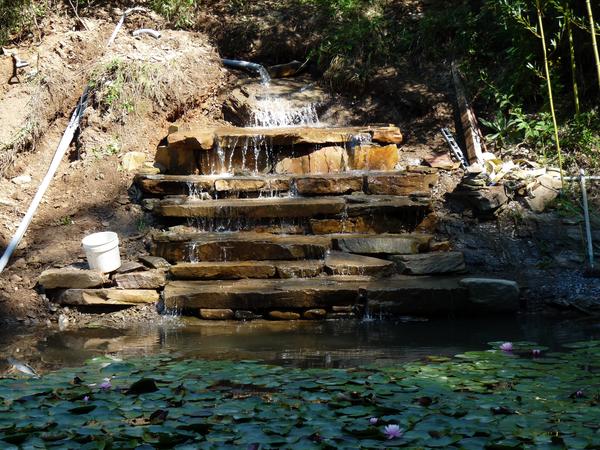 Housesitting assignment in Watauga, Tennessee, United States