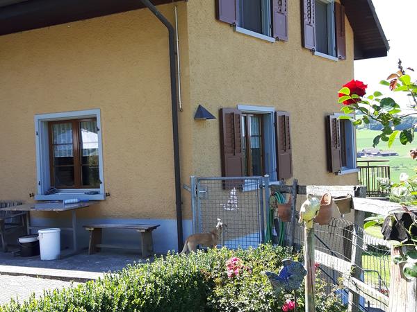 Housesitting assignment in Basel, Switzerland