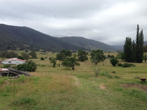 Housesitting assignment in Braidwood, New South Wales, Australia