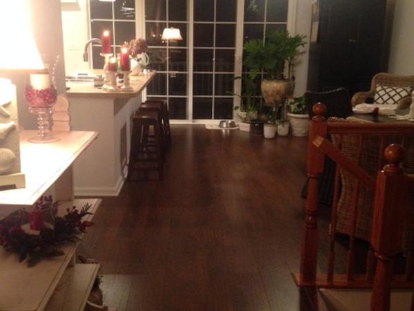 Housesitting assignment in Cambridge, Maryland, United States