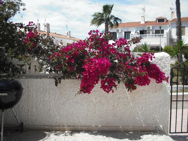 Housesitting assignment in Torrevieja, Spain