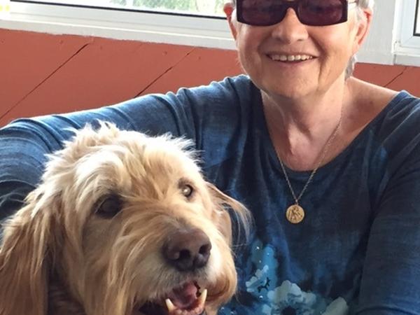 Housesitting assignment in Kingston, Ontario, Canada