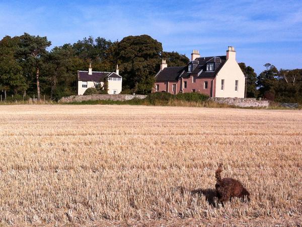 Housesitting assignment in Haddington, United Kingdom