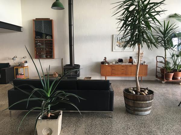 Housesitting assignment in Castlemaine, Victoria, Australia