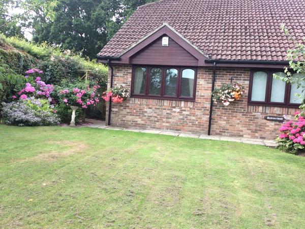 Housesitting assignment in West Chiltington, United Kingdom