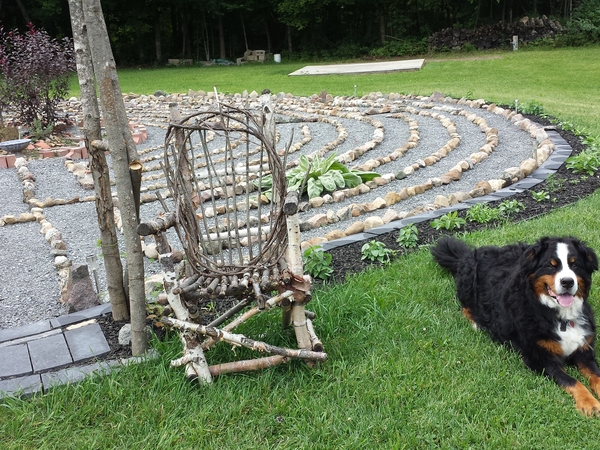 Housesitting assignment in Kingston, ON, Canada