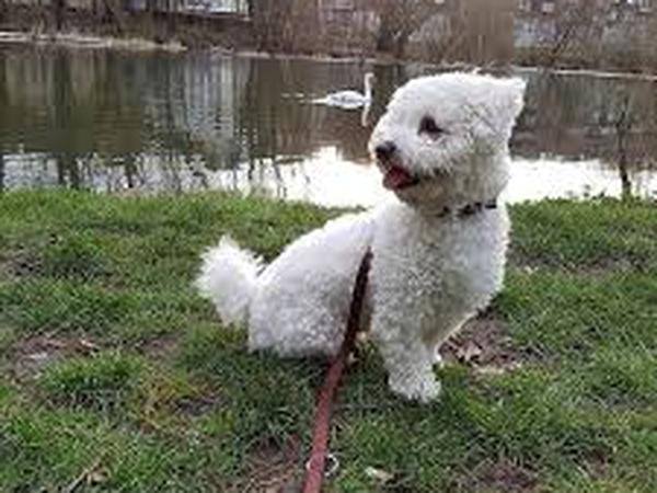 Housesitting assignment in Schwäbisch Hall, Germany