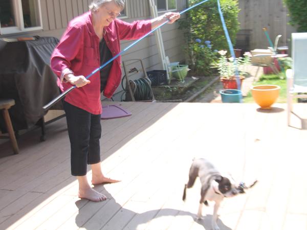 Housesitting assignment in Mountlake Terrace, Washington, United States