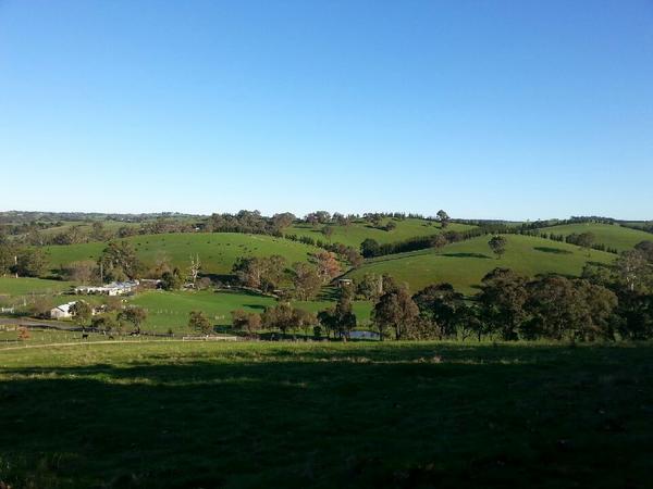 Housesitting assignment in Arthurs Creek, VIC, Australia