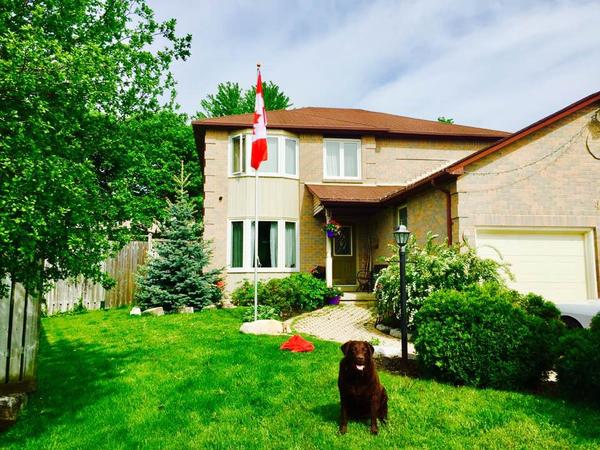 Housesitting assignment in Oshawa, ON, Canada