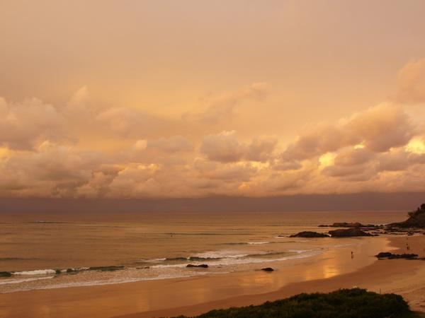 Housesitting assignment in Port Macquarie, New South Wales, Australia