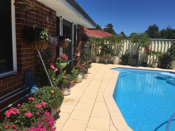 Housesitting assignment in Rockingham, Western Australia, Australia