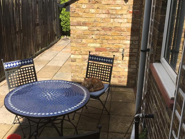 Housesitting assignment in Slough, United Kingdom