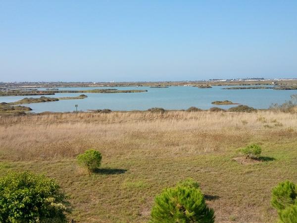 Housesitting assignment in Chiclana de la Frontera, Spain