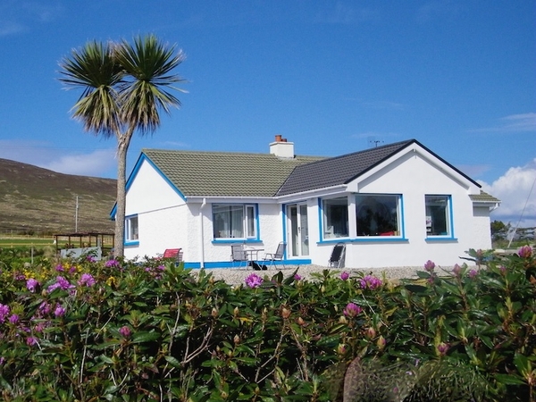 Housesitting assignment in Brinlack, Ireland