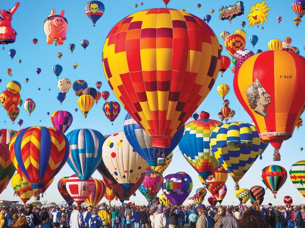 Housesitting assignment in Albuquerque, New Mexico, United States