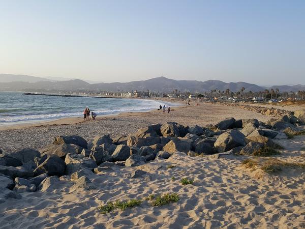 Housesitting assignment in Ventura, California, United States