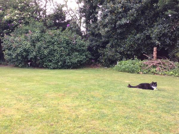 Housesitting assignment in Leigh, United Kingdom