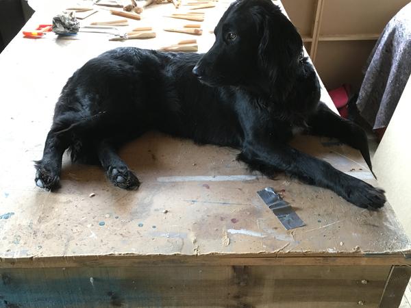 Housesitting assignment in Newtonmore, United Kingdom