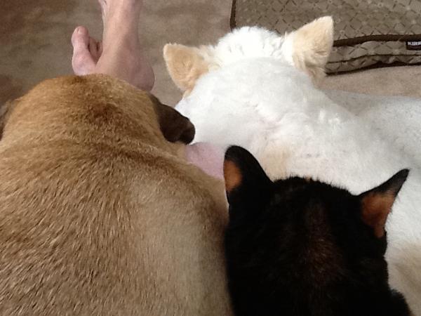 Christel & Peter from Burlington, ON, Canada