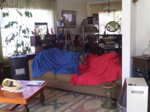 Housesitting assignment in Johannesburg, South Africa