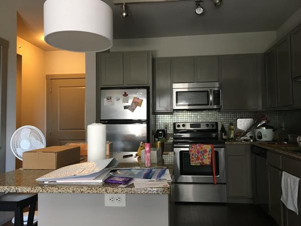 Housesitting assignment in Farmers Branch, Texas, United States