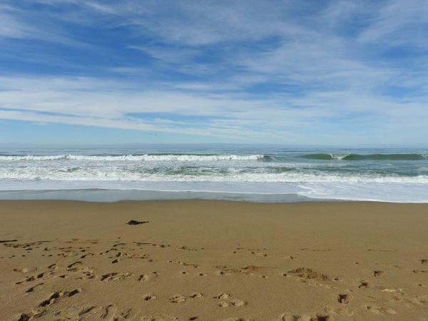 Housesitting assignment in Oamaru, New Zealand