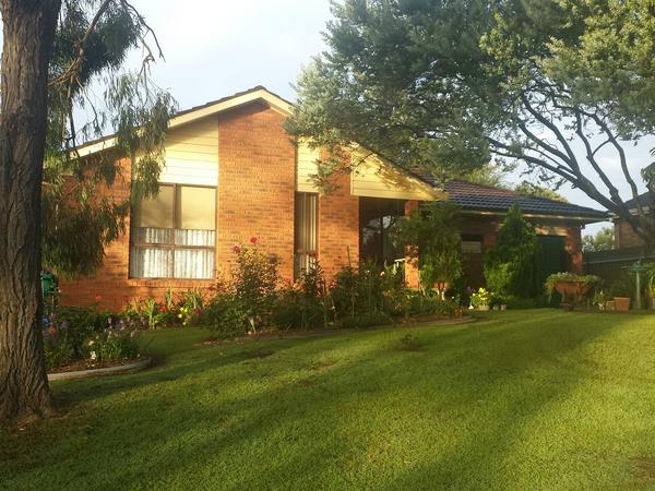 Housesitting assignment in Singleton, New South Wales, Australia