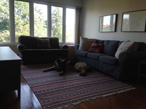 Housesitting assignment in Gloucester, Ontario, Canada