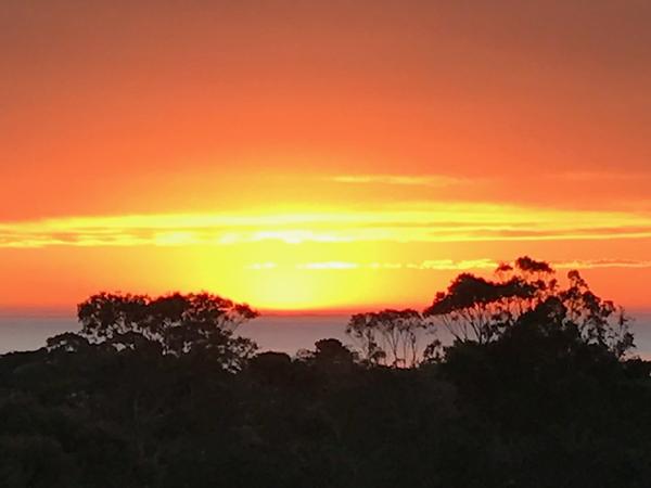 Housesitting assignment in Mount Eliza, VIC, Australia