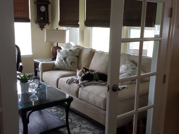 Housesitting assignment in Ocala, Florida, United States